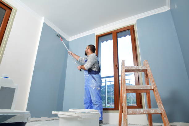 Best Exterior Painting  in Mount Plymouth, FL