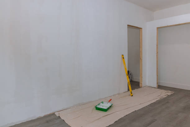 Best Drywall Installation  in Mount Plymouth, FL