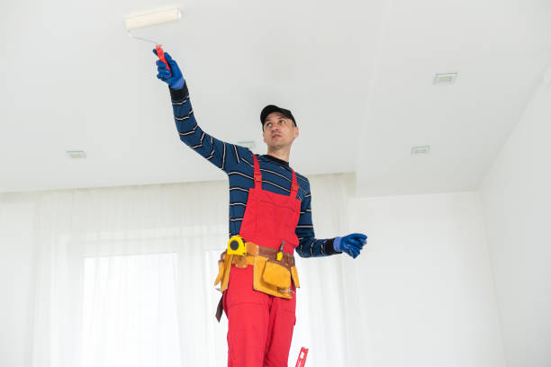 Best Interior Painting  in Mount Plymouth, FL