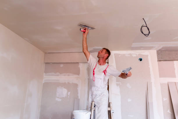 Best Remodeling Drywall  in Mount Plymouth, FL